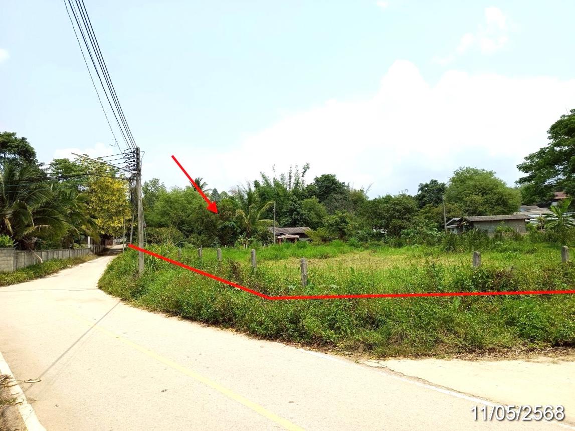 รูป ที่ดินว่างเปล่า 426.4 ตร.วา ฝาง เชียงใหม่ 955,000 - รูปที่ 13/25