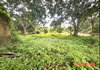 listing thumbnail image 14