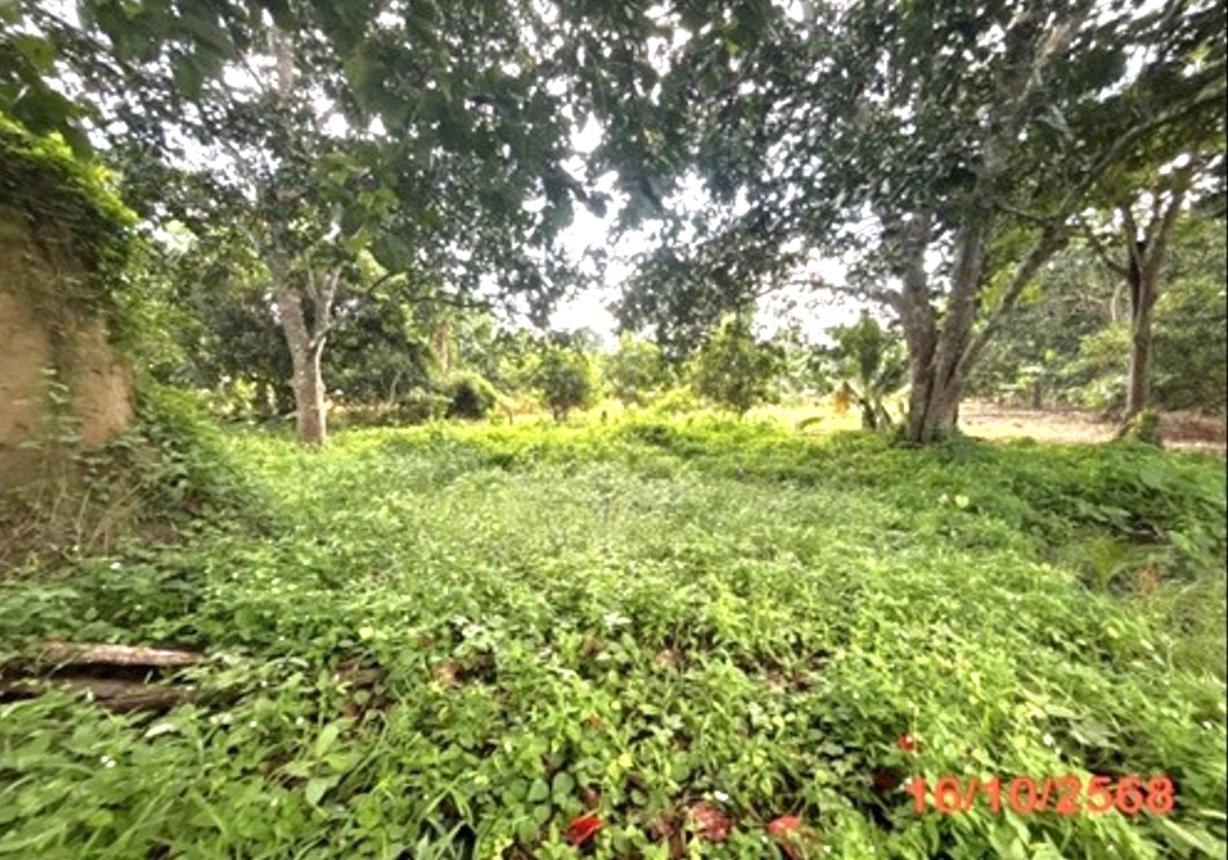 picture LAND 379.5 Sq.w. Muang Surat Thani Surat Thani for 1.7M - 15/21