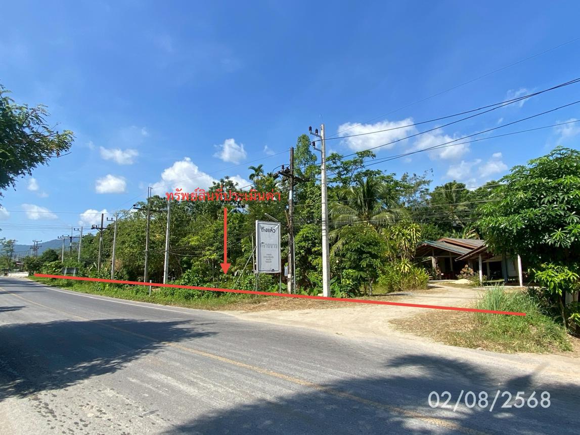 picture LAND 320 Sq.w. Kong Ra Phatthalung for 2M - 11/21