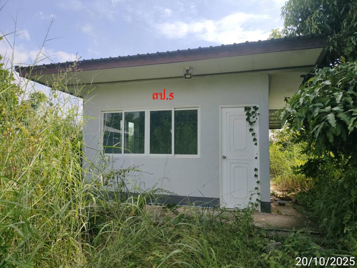 picture FACTORY 12659 Sq.w. Phayakkhaphum Phisai Maha Sarakham for 5.4M - 27/37