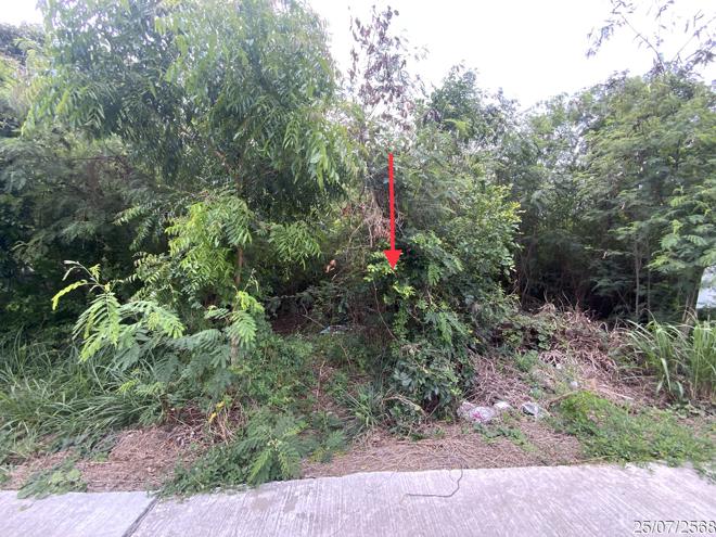 picture LAND 292 Sq.w. Muang Lop Buri Lopburi for 1.6M - 6/17