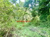 listing thumbnail image 32