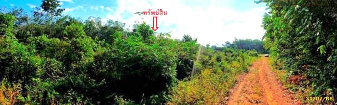 picture LAND 1539 Sq.w. Mae Lan Pattani for 1.4M - 8/19