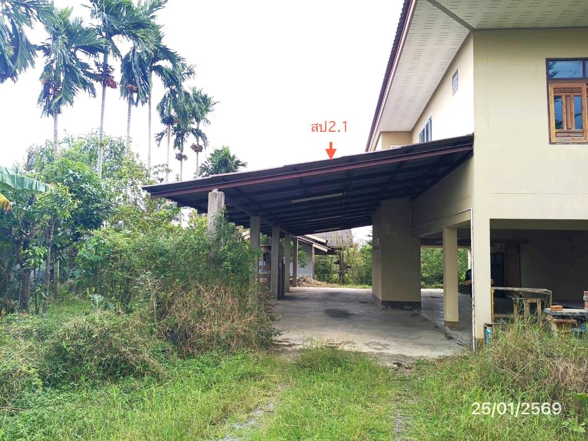 รูป บ้านเดี่ยว 2793 ตร.วา ระโนด สงขลา 4.2M - รูปที่ 31/45