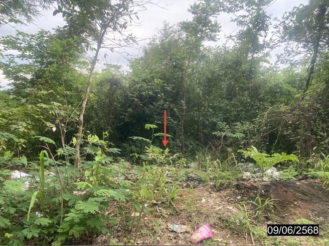 รูป ที่ดินว่างเปล่า 3030 ตร.วา หล่มเก่า เพชรบูรณ์ 985,000 - รูปที่ 7/21