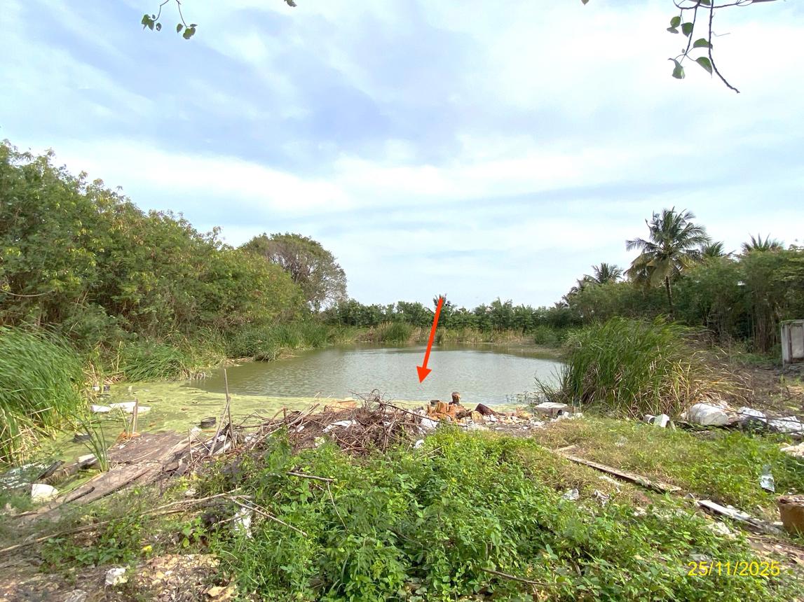 รูป บ้านเดี่ยว 2000 ตร.วา นครชัยศรี นครปฐม 20.5M - รูปที่ 45/49
