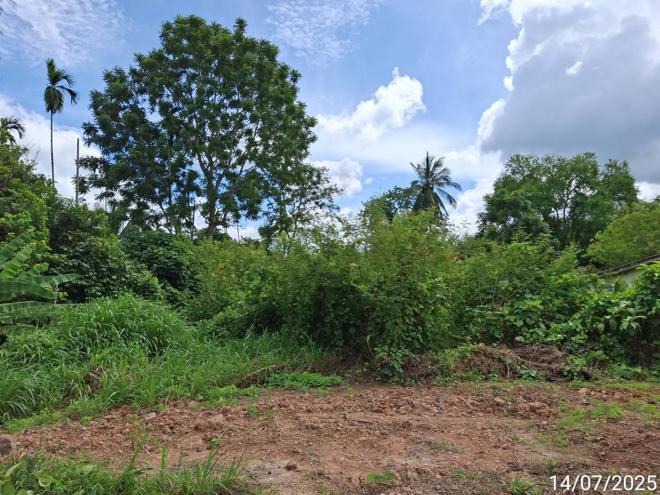 รูป ที่ดินว่างเปล่า 285.9 ตร.วา ปะเหลียน ตรัง 2.7M - รูปที่ 2/25