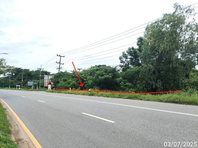 picture LAND 1753 Sq.w. Chiang Yun Maha Sarakham for 11.4M - 5/19