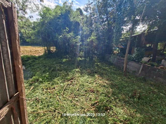 รูป บ้านเดี่ยว 100 ตร.วา หนองไผ่ เพชรบูรณ์ 323,000 - รูปที่ 8/23