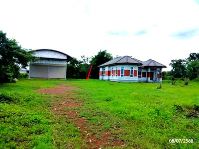 ขายบ้านเดี่ยว : บ้านเดี่ยว 800 ตร.วา เจริญศิลป์ สกลนคร 4.8M