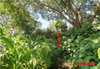 listing thumbnail image 10