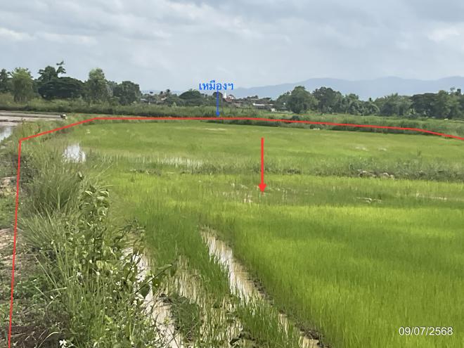 รูป ที่ดินว่างเปล่า 1292.7 ตร.วา เมืองพะเยา พะเยา 668,000 - รูปที่ 6/21