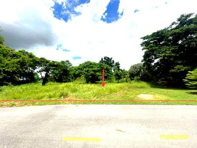 Land for sale Phitsanulok : LAND 320 Sq.w. Bang Rakam Phitsanulok for 1.5M