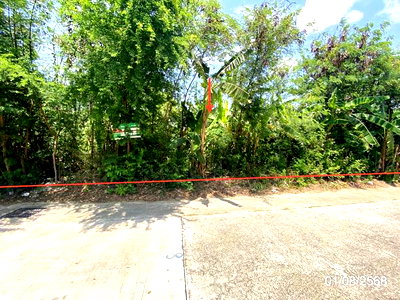 ที่ดิน ประตูน้ำ ขอนแก่น : ที่ดินว่างเปล่า 134.9 ตร.วา เมืองขอนแก่น ขอนแก่น 3.9M