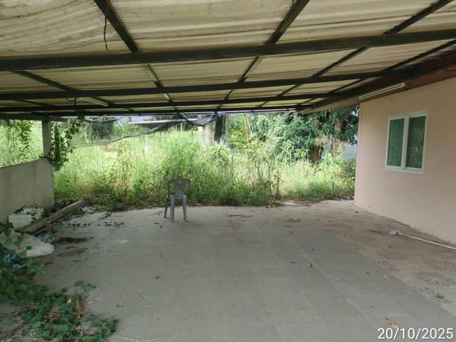 picture FACTORY 12659 Sq.w. Phayakkhaphum Phisai Maha Sarakham for 5.4M - 10/37