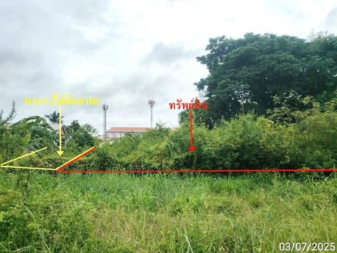 LAND 247 Sq.w. Muang Maha Sarakham Maha Sarakham for 2.5M