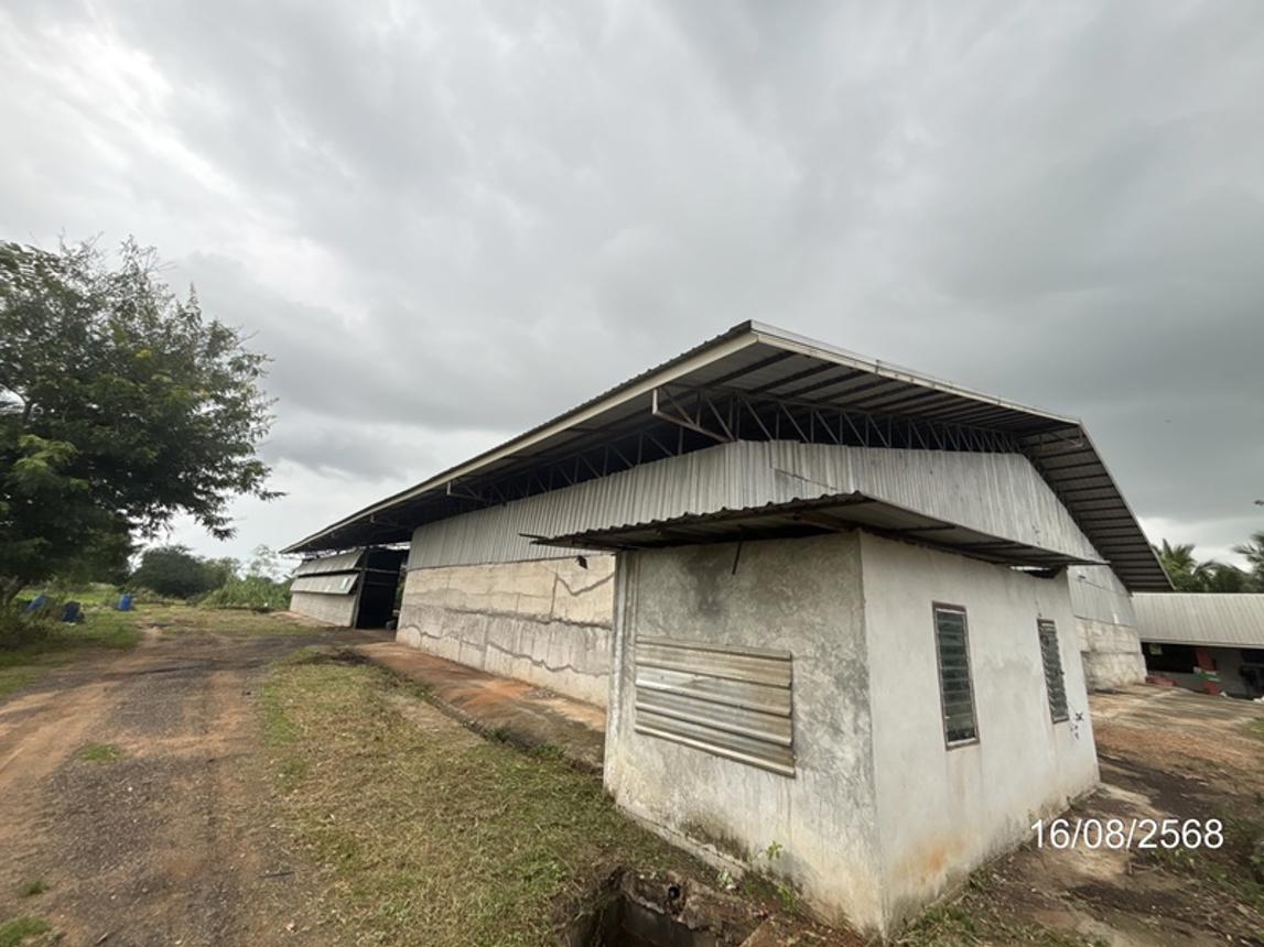 รูป อาคารโรงงาน 2362 ตร.วา เฉลิมพระเกียรติ นครราชสีมา 9.7M - รูปที่ 22/41