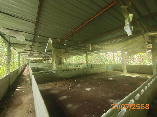 picture HOME 4455.3 Sq.w. Takua Thung Phangnga for 3.8M - 8/43