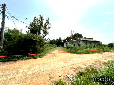 บ้านเดี่ยว เชียงขวัญ ร้อยเอ็ด : บ้านเดี่ยว 400 ตร.วา เชียงขวัญ ร้อยเอ็ด 1.6M