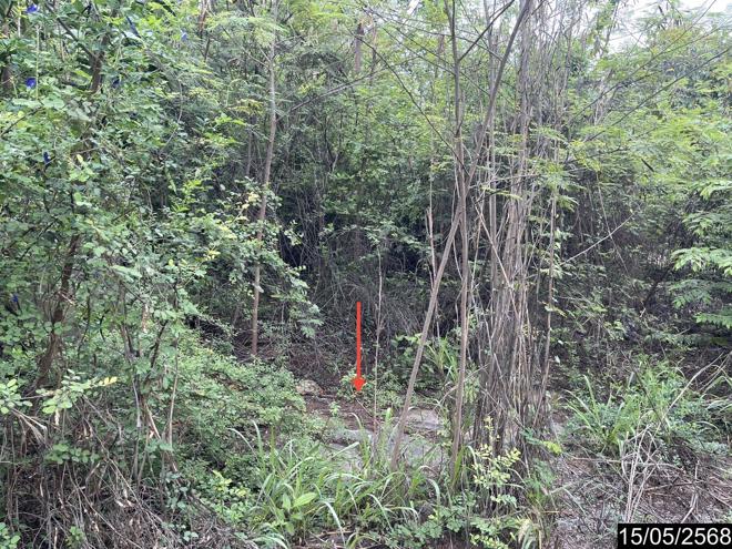 picture LAND 85.1 Sq.w. Muang Khon Kaen Khon Kaen for 1.9M - 6/21