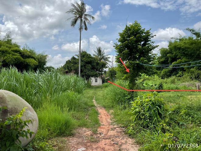 picture LAND 208 Sq.w. Pho Sai Ubon Ratchathani for 142,000 - 6/21