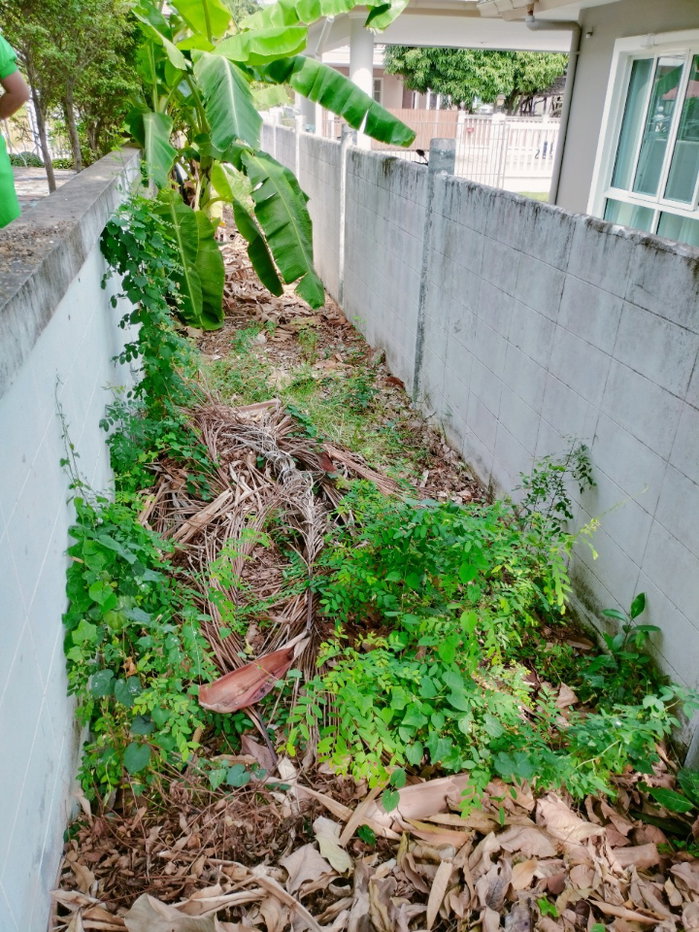 รูป 🤩ถูกกกกมากก📌บ้านเดี่ยว 88 ตร.ว. ชวนชื่น บางนา บางบ่อ สมุทรปราการ พร้อมอยู่ 🤩🔥แถมฟรี พื้นที่ด้านข้าง 11 ตรว.(มีฉโนด) - รูปที่ 24/26