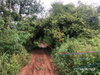 listing thumbnail image 23