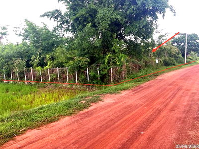 Land for sale Muang Sakon Nakhon Sakon Nakhon : LAND 1124.3 Sq.w. Muang Sakon Nakhon Sakon Nakhon for 1.9M