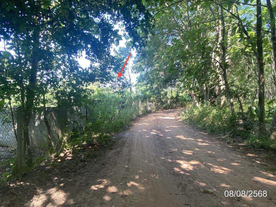 รูป บ้านเดี่ยว 2753 ตร.วา กุฉินารายณ์ กาฬสินธุ์ 3.1M - รูปที่ 21/25