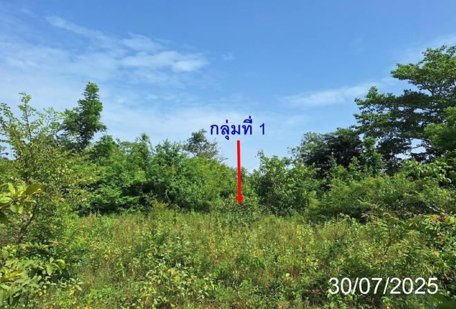 picture LAND 330 Sq.w. Mae Tha Lamphang for 444,000 - 4/23