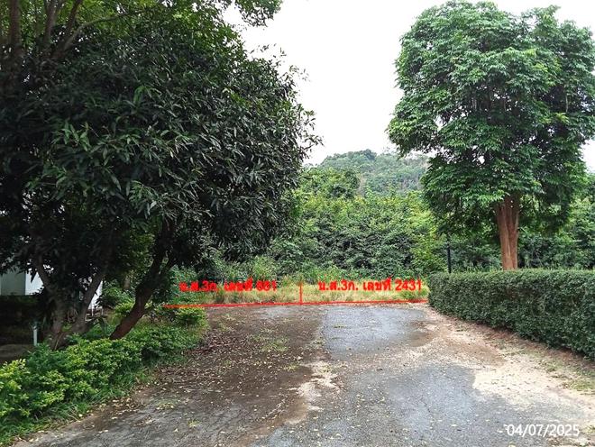 picture LAND 200 Sq.w. Pak Chong Nakhon Ratchasima for 3.6M - 4/17