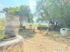 listing thumbnail image 30