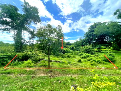 ที่ดิน หาดใหญ่ สงขลา : ที่ดินว่างเปล่า 61.8 ตร.วา หาดใหญ่ สงขลา 354,000