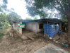 listing thumbnail image 16