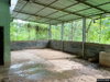 listing thumbnail image 21