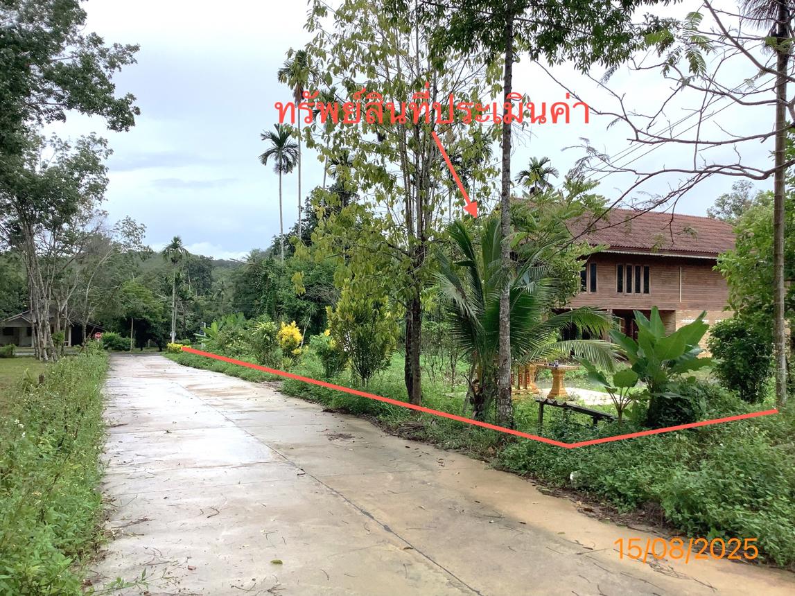 รูป บ้านเดี่ยว 383.6 ตร.วา ทุ่งสง นครศรีธรรมราช 5.5M - รูปที่ 46/51