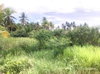 listing thumbnail image 19