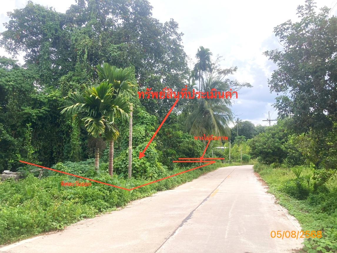 รูป ที่ดินว่างเปล่า 321.8 ตร.วา บ้านนาเดิม สุราษฎร์ธานี 644,000 - รูปที่ 7/15