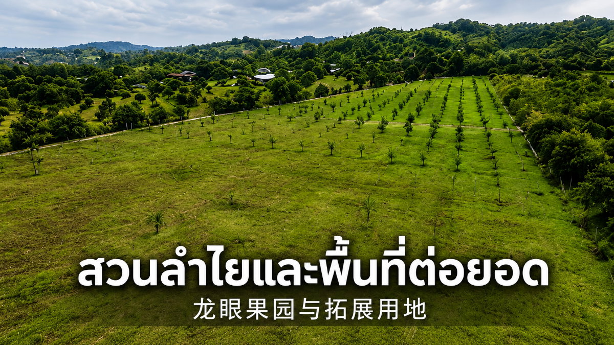 รูป ขายฟาร์มโรงเรือนพร้อมที่ดิน 19 ไร่+ ป่าซาง ลำพูน — โรงเรือน 5 หลัง พร้อมอาคาร ระบบน้ำ และพื้นที่ต่อยอด - รูปที่ 2/7