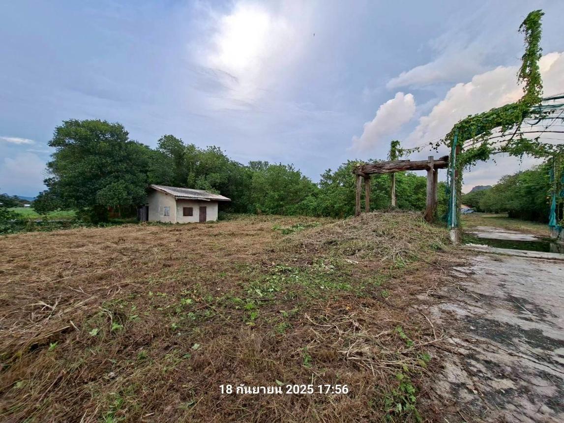รูป ฟาร์ม 27277 ตร.วา พระพุทธบาท สระบุรี 17.6M - รูปที่ 25/43