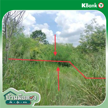 picture LAND 238 Sq.w. Muak Lek Saraburi for 333,000 - 17/19