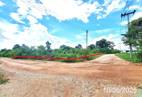 LAND 920 Sq.w. Mae Tha Lamphang for 1.3M