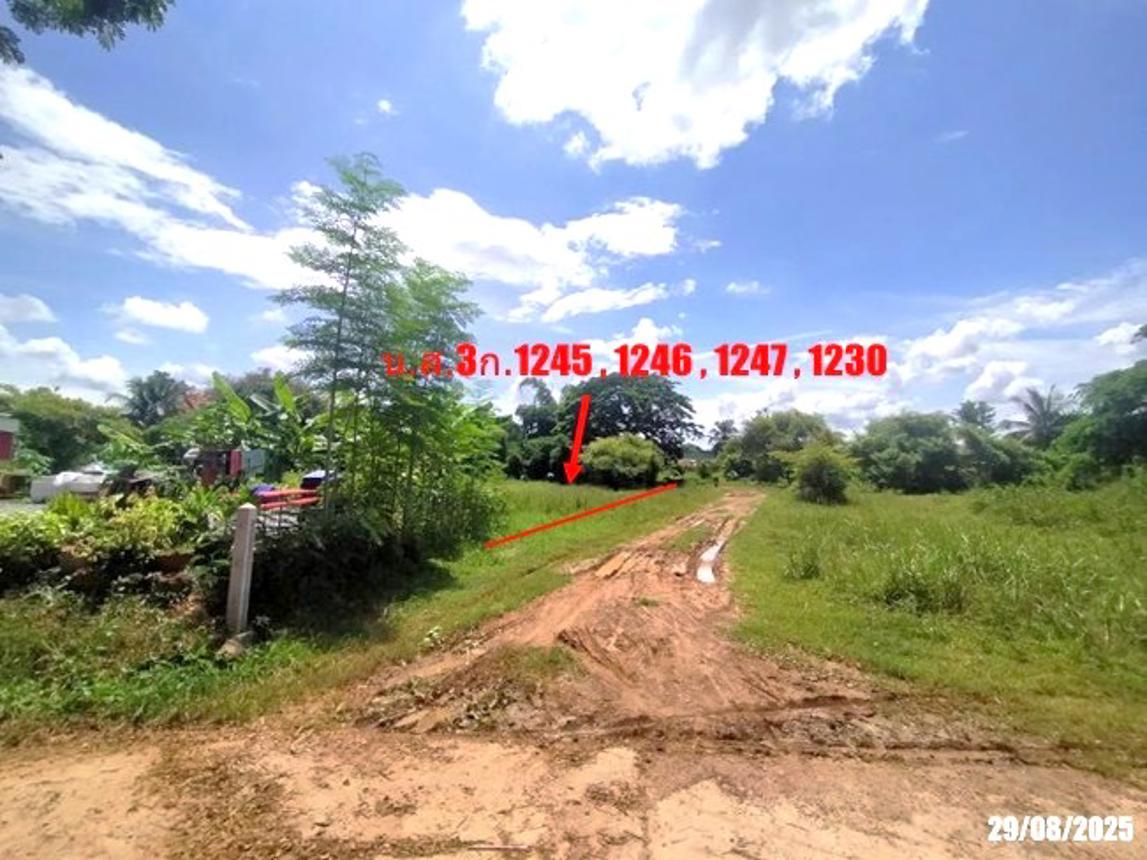 picture FACTORY 2059 Sq.w. Na Klang Nong Bua Lam Phu for 10.3M - 21/27