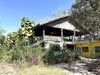 listing thumbnail image 41