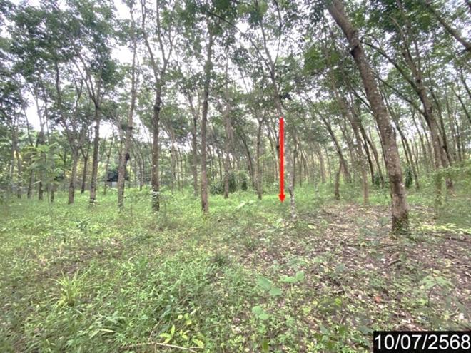 รูป บ้านเดี่ยว 9771.8 ตร.วา รัตนวาปี หนองคาย 14.3M - รูปที่ 24/53
