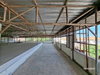 listing thumbnail image 40