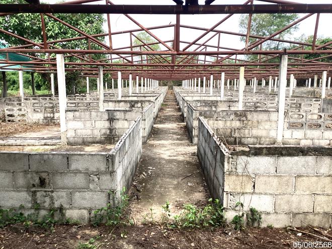 picture LAND 910.1 Sq.w. Kaeng Krachan Petchburi for 1.1M - 5/25