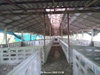 listing thumbnail image 37