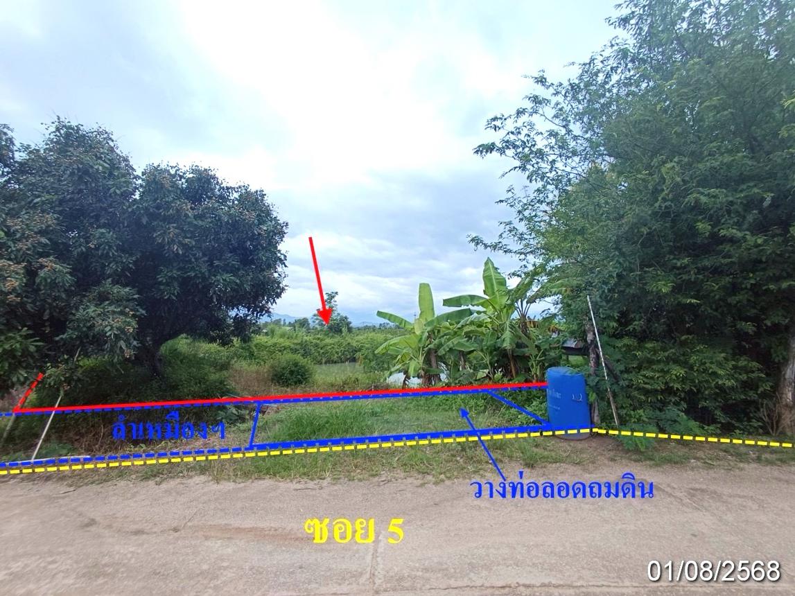 picture LAND 2211.4 Sq.w. Fang Chiang Mai for 2M - 9/19